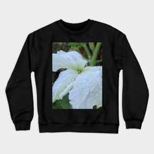 Ghost Blossom Crewneck Sweatshirt